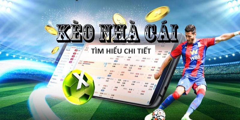 Nhà cái uy tín nhất Việt Nam gọi tên anh tài ibet Nhà cái uy tín nhất Việt Nam gọi tên anh tài ibet